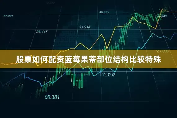 股票如何配资蓝莓果蒂部位结构比较特殊