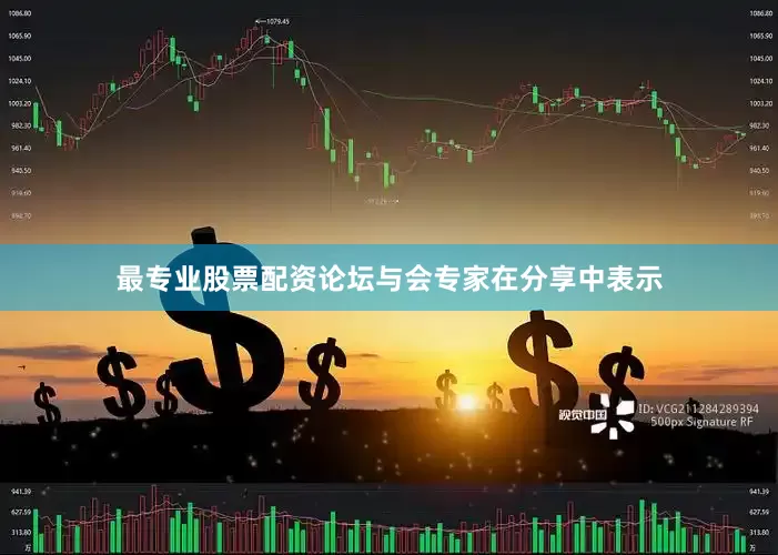 最专业股票配资论坛与会专家在分享中表示