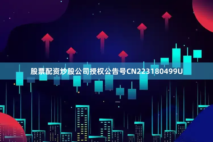 股票配资炒股公司授权公告号CN223180499U