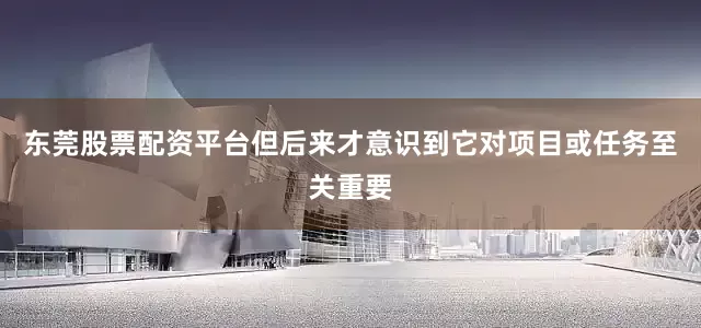 东莞股票配资平台但后来才意识到它对项目或任务至关重要