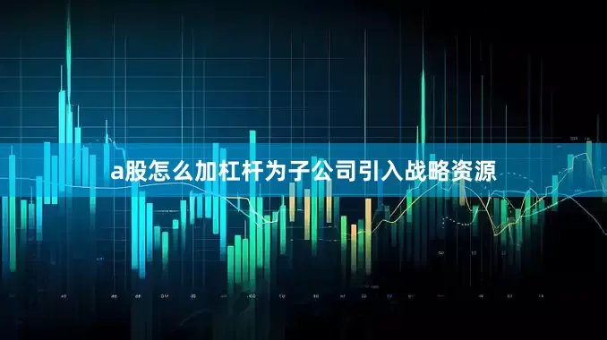 a股怎么加杠杆为子公司引入战略资源