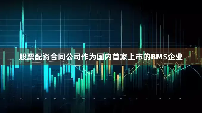 股票配资合同公司作为国内首家上市的BMS企业