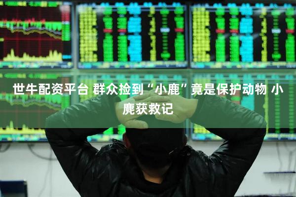 世牛配资平台 群众捡到“小鹿”竟是保护动物 小麂获救记